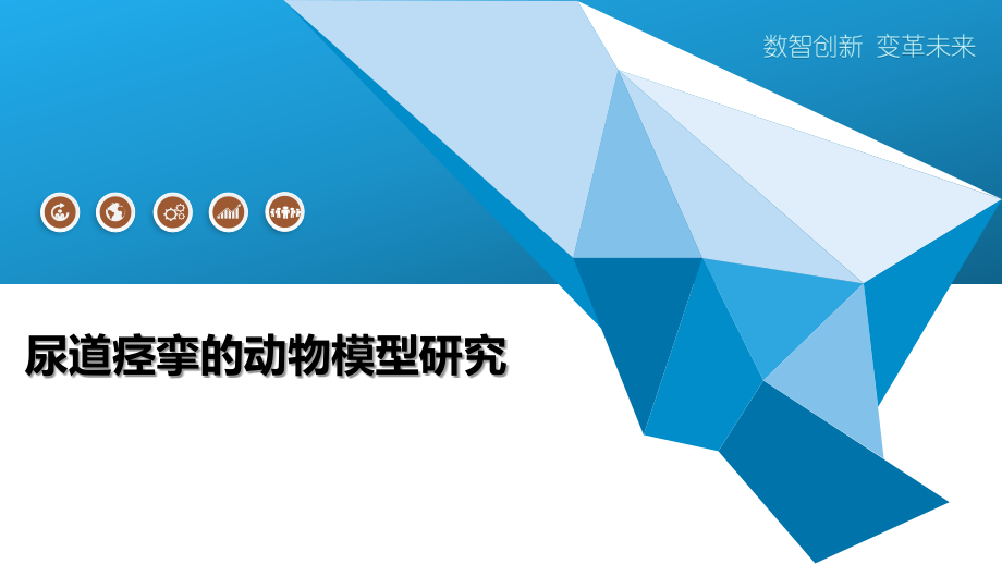 尿道痉挛的动物模型研究.pptx_第1页