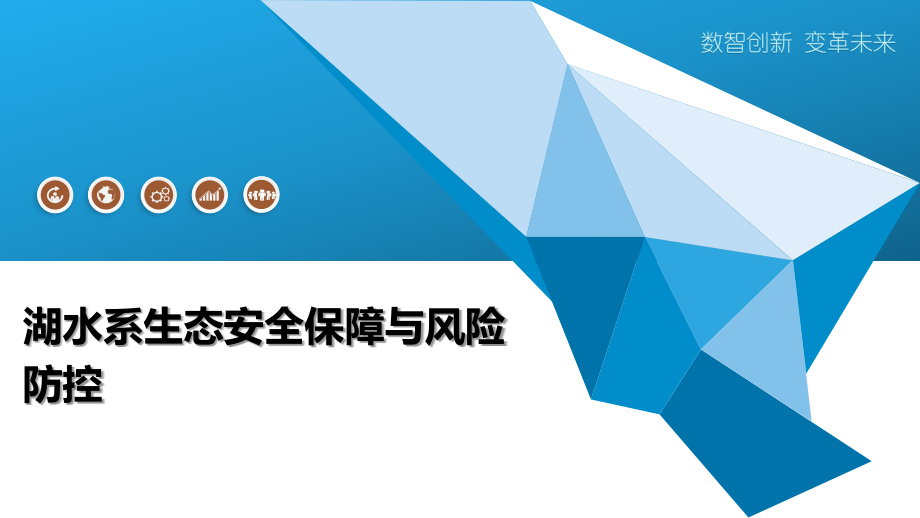 湖水系生态安全保障与风险防控.pptx_第1页