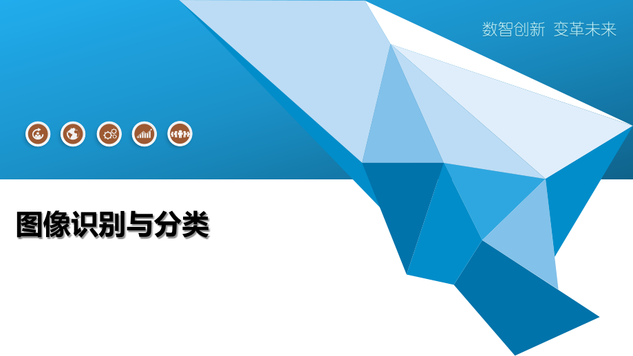 图像识别与分类.pptx_第1页