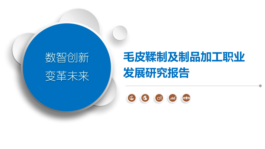毛皮鞣制及制品加工职业发展研究报告.pptx_第1页