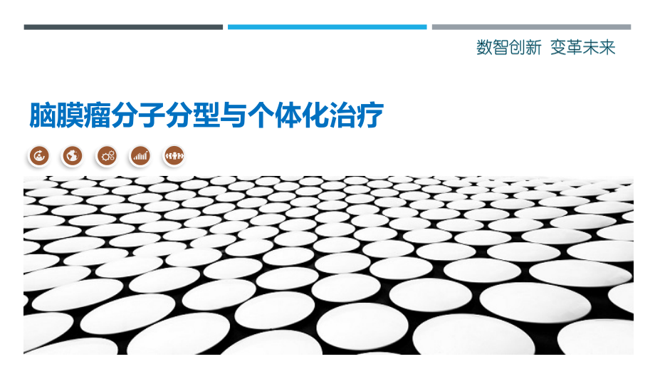 脑膜瘤分子分型与个体化治疗.pptx_第1页