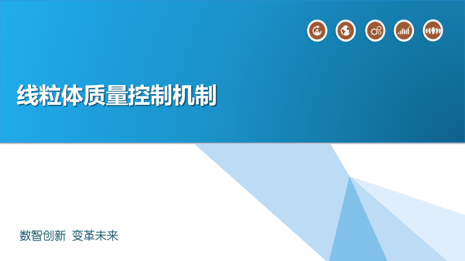 线粒体质量控制机制.pptx_第1页