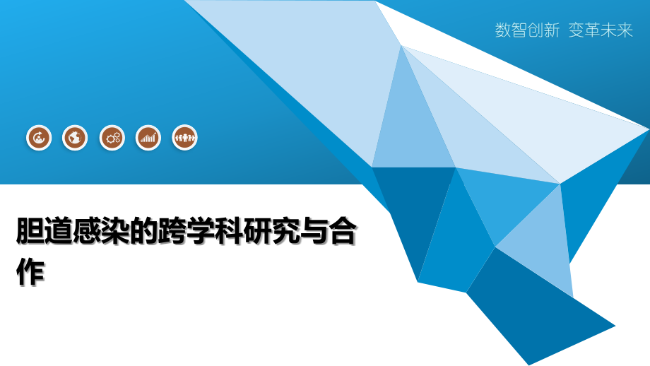 胆道感染的跨学科研究与合作.pptx_第1页