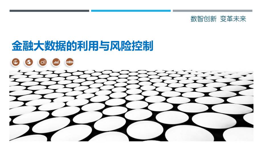 金融大数据的利用与风险控制.pptx_第1页