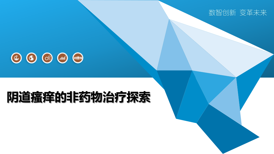 阴道瘙痒的非药物治疗探索.pptx_第1页