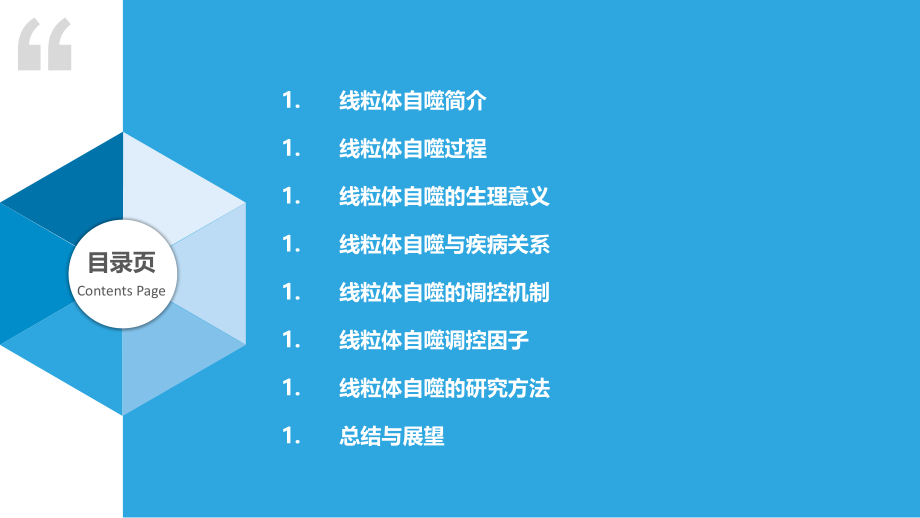 线粒体自噬与调控.pptx_第2页