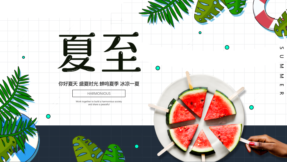 某中小学夏至节气专题介绍多媒体模板.pptx_第1页