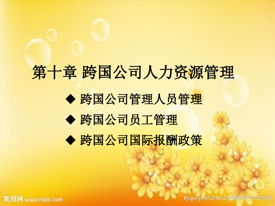 第十章-跨国公司人力资源管理.ppt_第1页