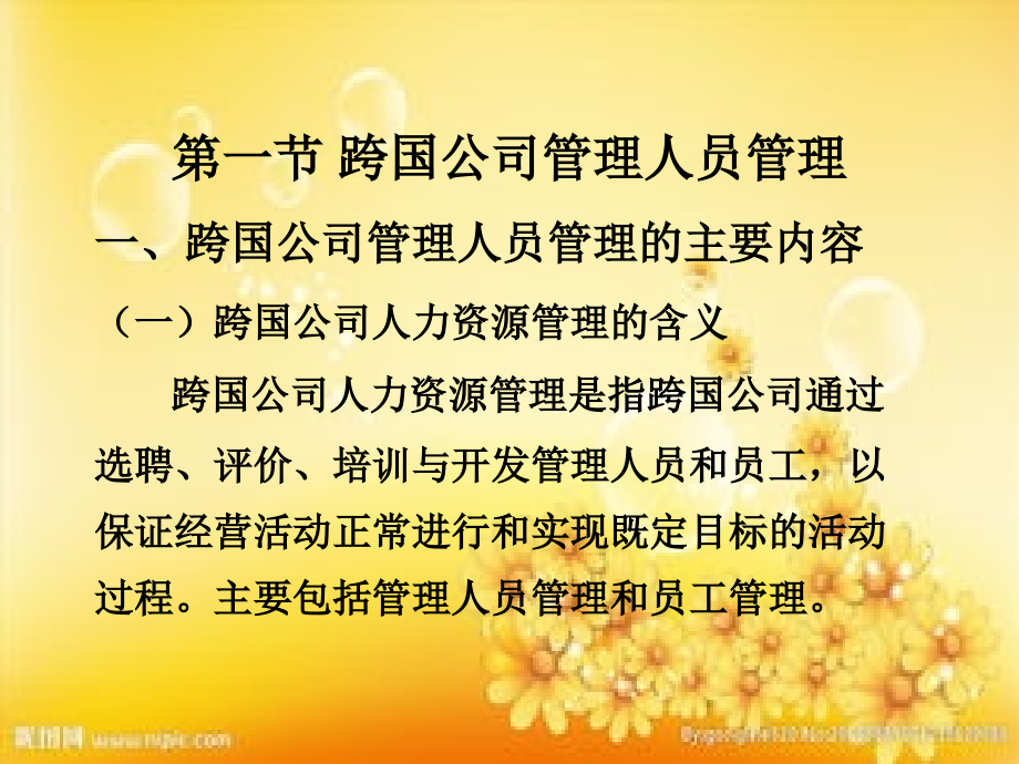 第十章-跨国公司人力资源管理.ppt_第2页