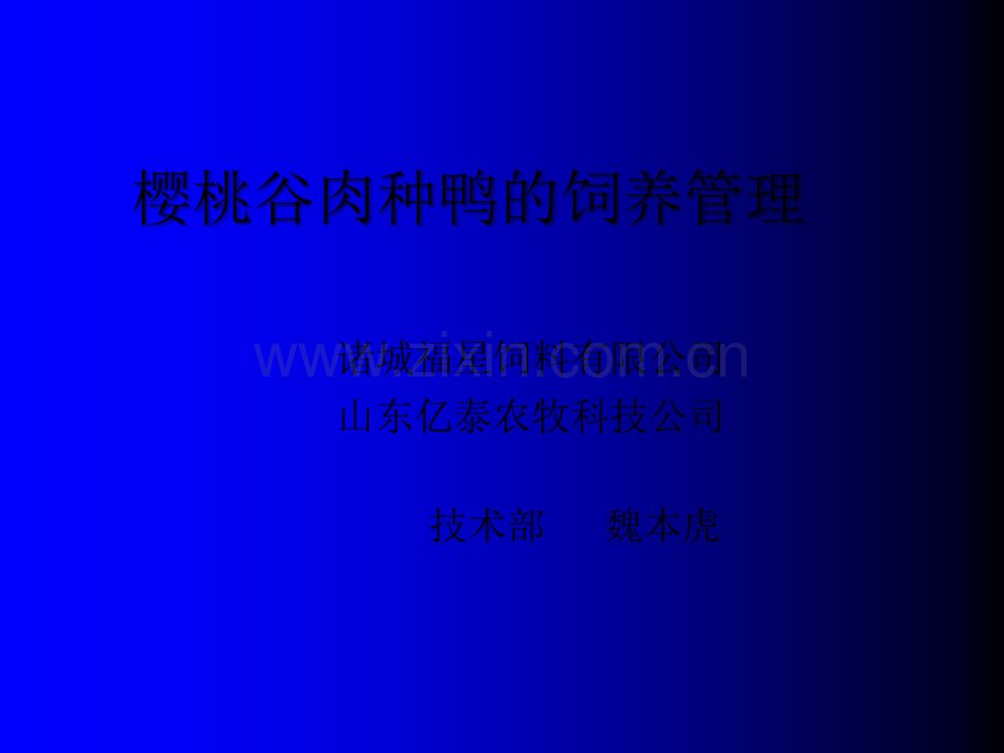 樱桃谷肉种鸭的饲养管理技术.ppt_第1页