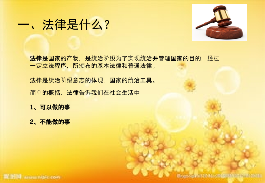 与法同行-为成长护航(修订版).ppt_第2页