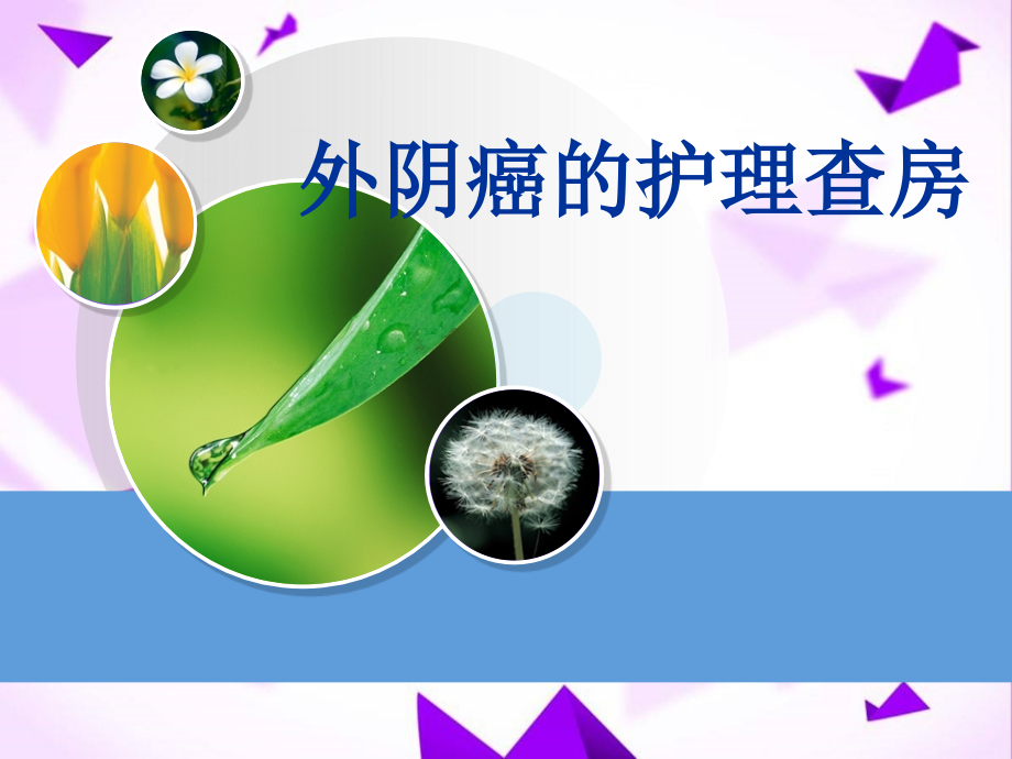 外阴癌的护理要点-.ppt_第1页