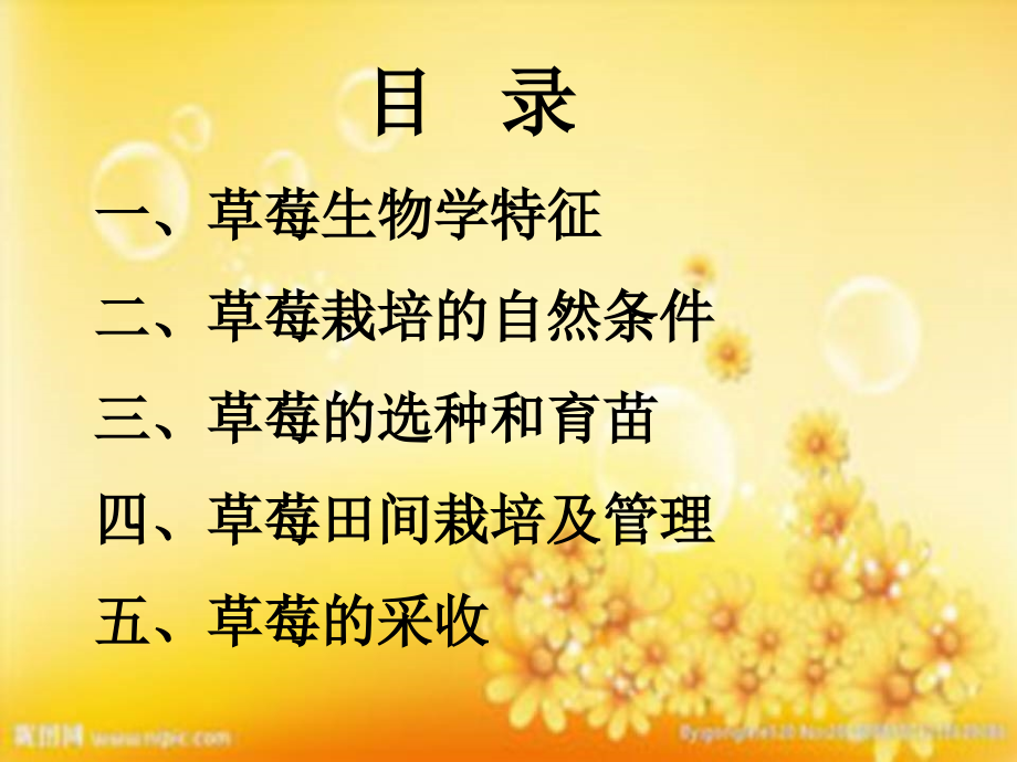 草莓种植培训资料.ppt_第2页