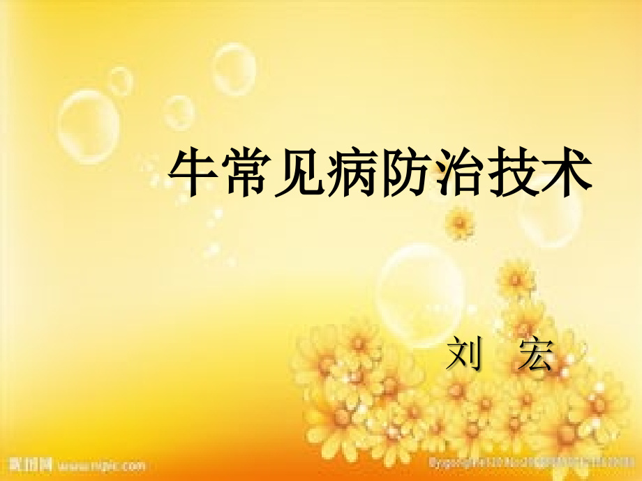 牛常见病防治技术.ppt_第1页