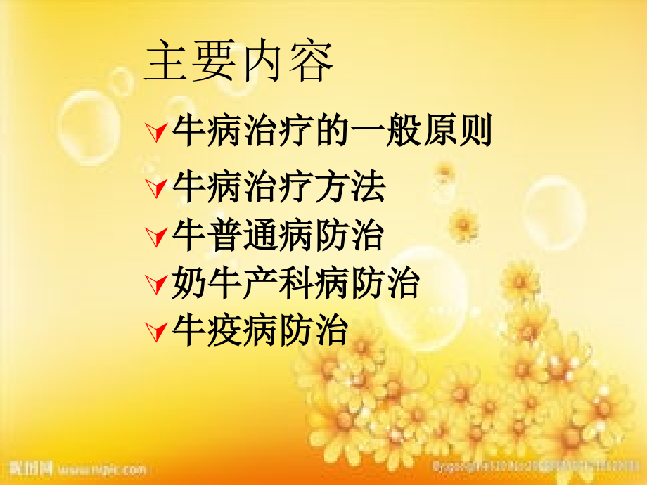 牛常见病防治技术.ppt_第2页