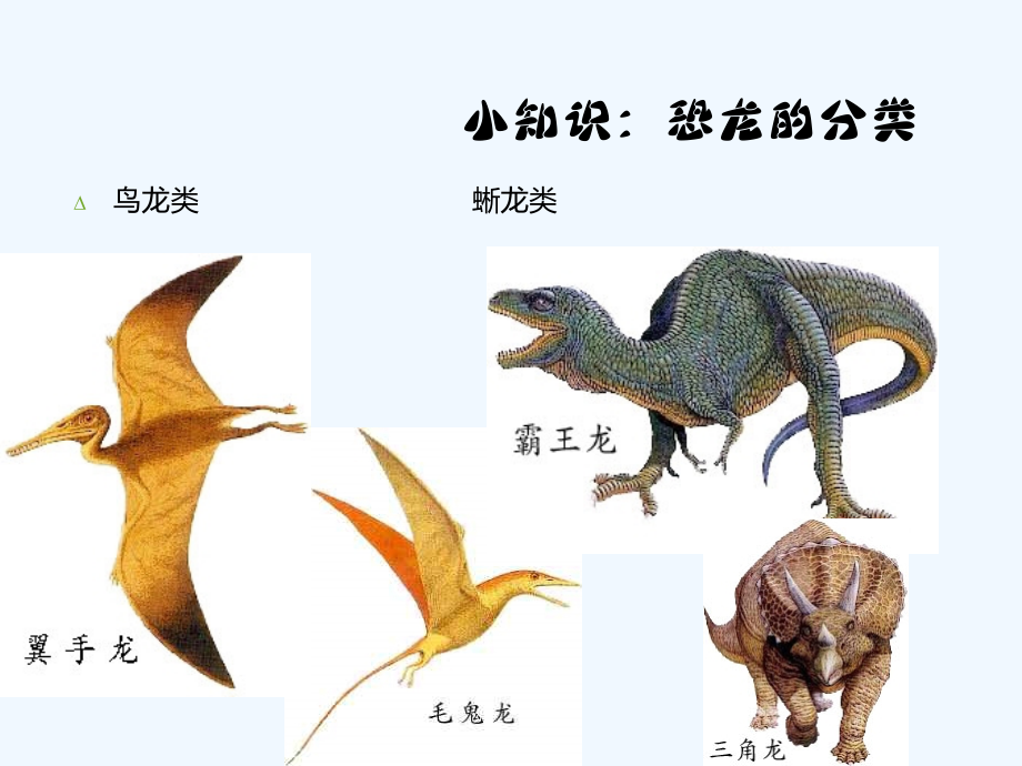 恐龙世界二年级-PPT.ppt_第2页