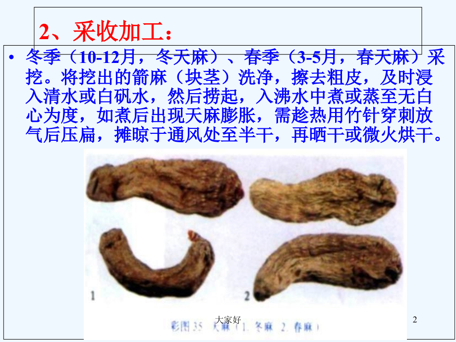天麻、麦冬、天冬的鉴别-PPT.ppt_第2页