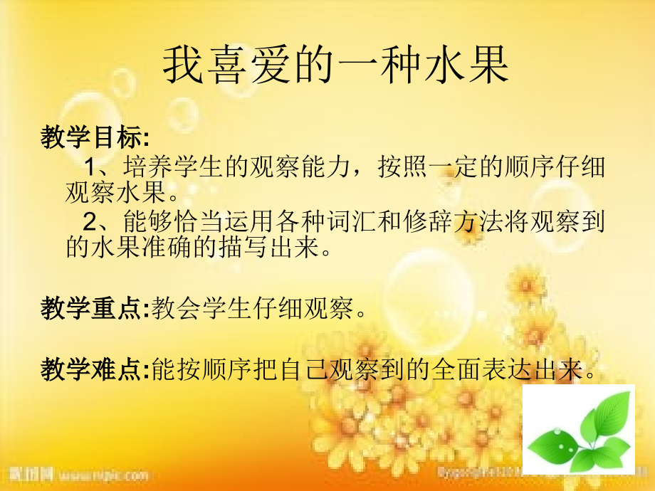 《观察课—桔子》.ppt_第1页