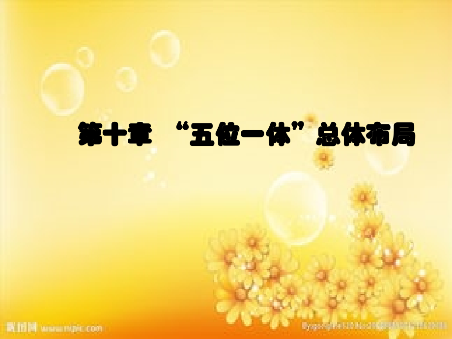 毛概2018版--第十章.ppt_第1页