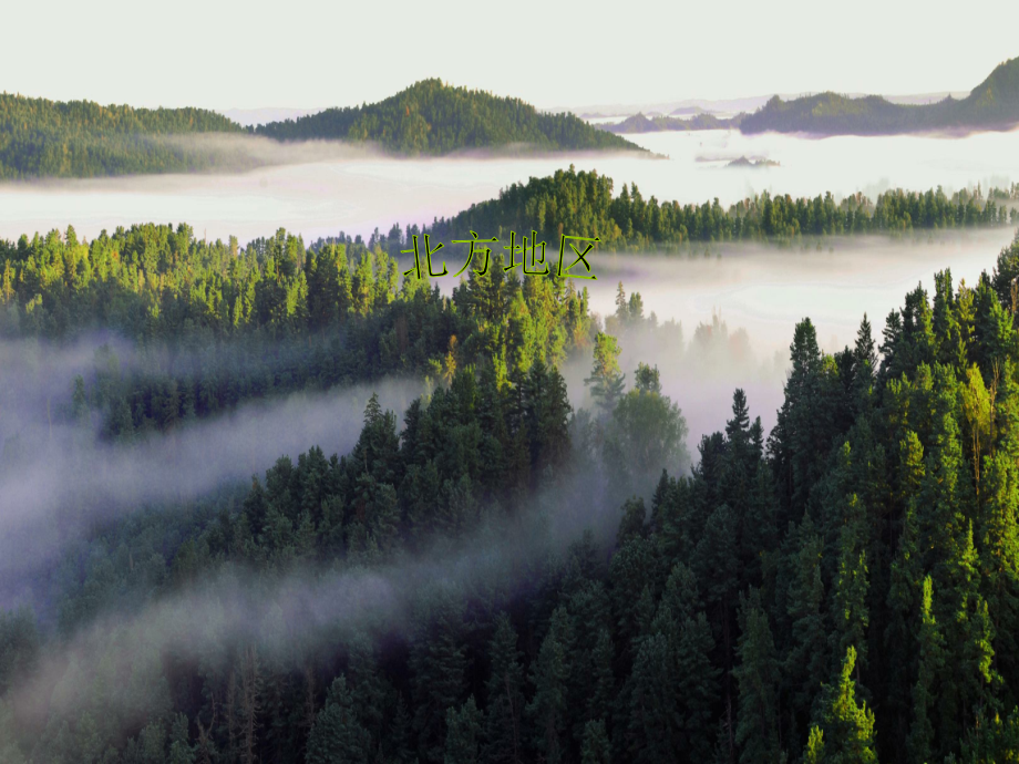 历史与社会(七下)红松之乡.ppt_第1页