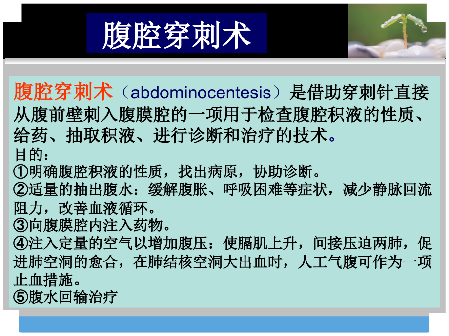 临床四大穿刺-.ppt_第2页