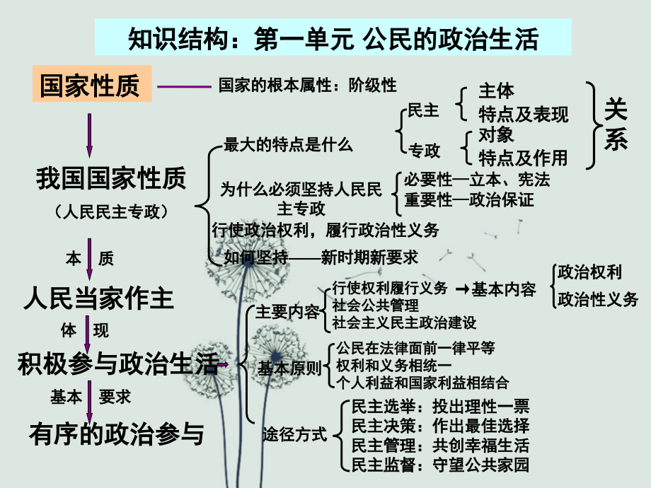 政治生活一轮复习.ppt_第2页