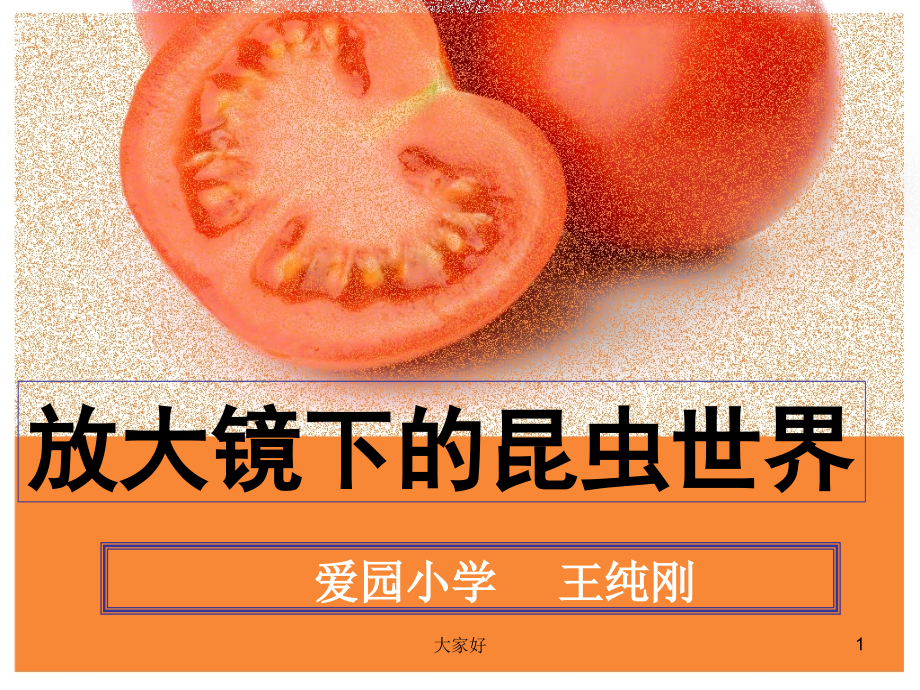 教科版科学《放大镜下的昆虫世界》.ppt_第1页