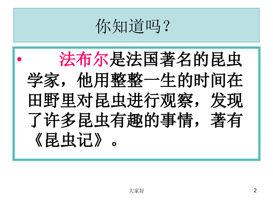 教科版科学《放大镜下的昆虫世界》.ppt_第2页