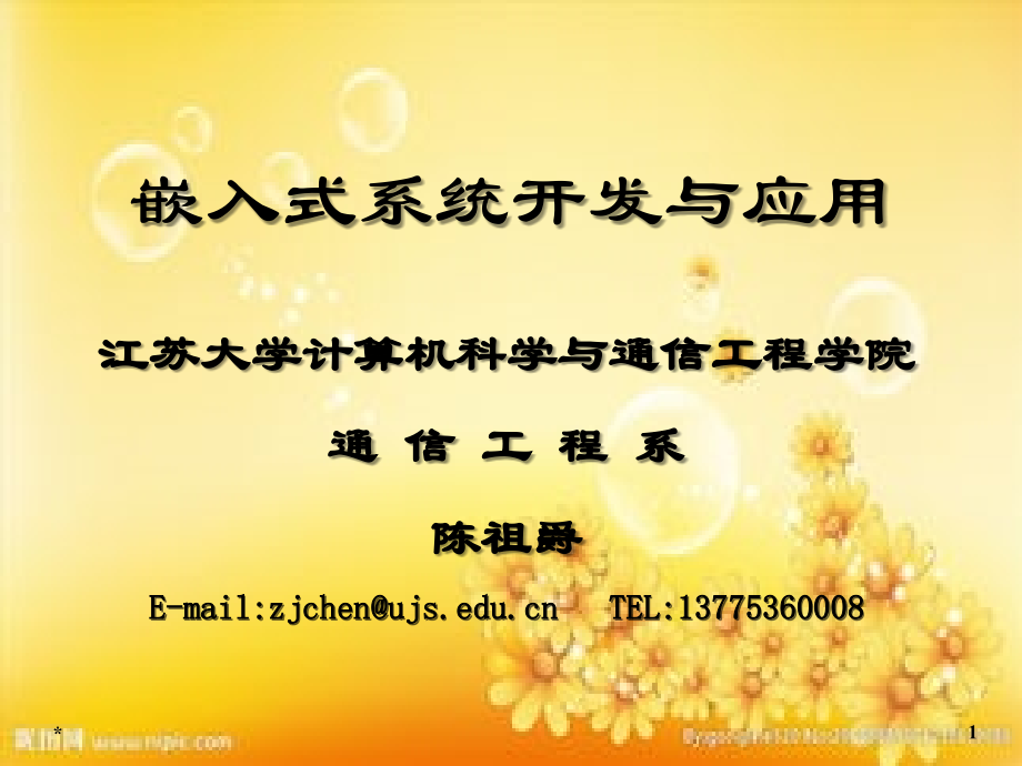 嵌入式系统应用开发实例.ppt_第1页