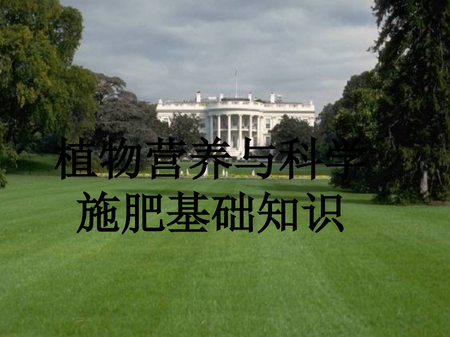 科学施肥.ppt_第1页