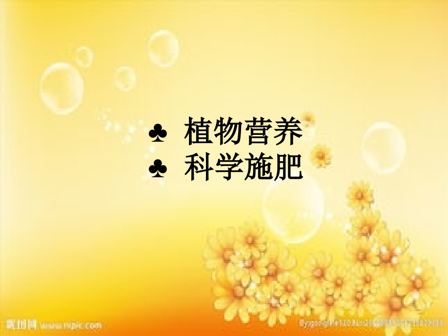 科学施肥.ppt_第2页
