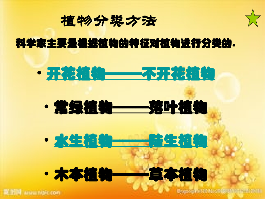 教科版《种类繁多的动物》.ppt_第2页