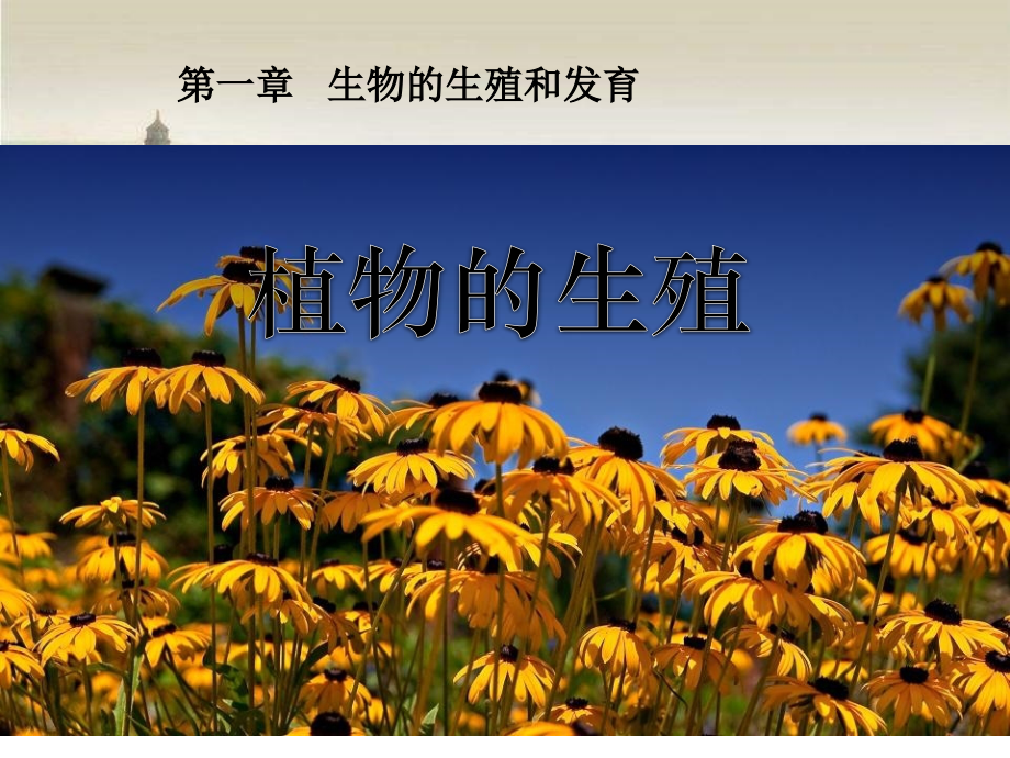 初二生物---植物的生殖-PPT.ppt_第1页