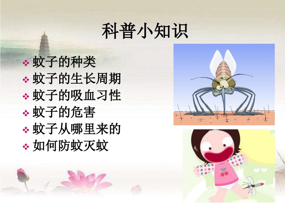 灭蚊防病主题班会ppt.ppt_第2页