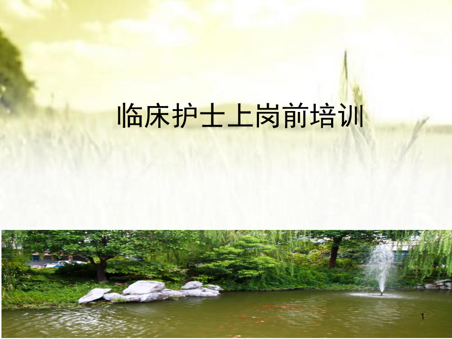 临床护士上岗前安全培训-.pptx_第1页