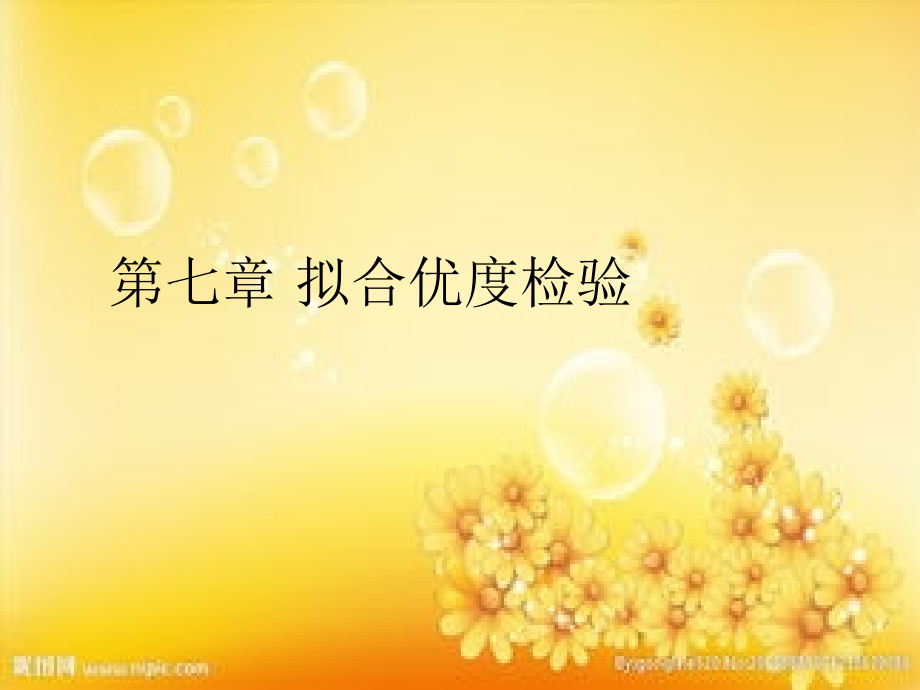 拟合优度检验PPT.ppt_第1页