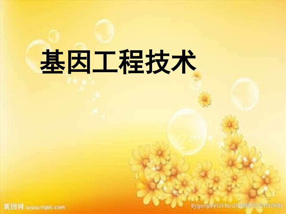 基因工程技术-PPT.ppt_第1页
