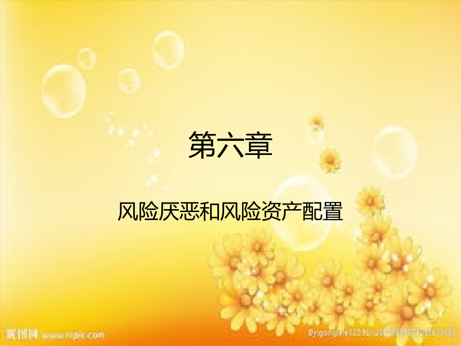 风险厌恶和风险资产配置.ppt_第1页