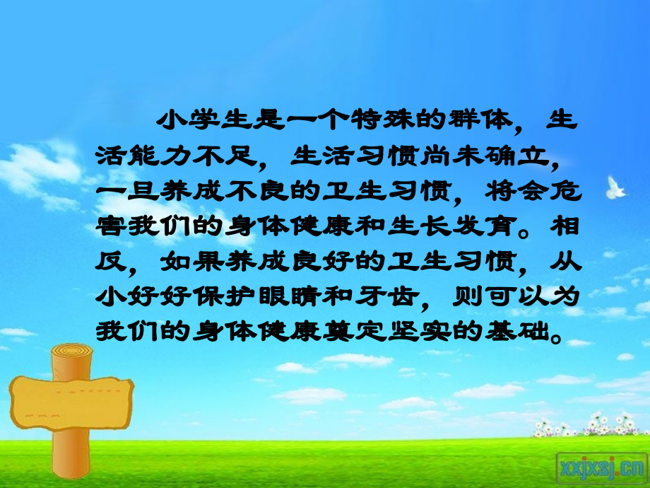 预防疾病--养成良好卫生习惯.ppt_第2页