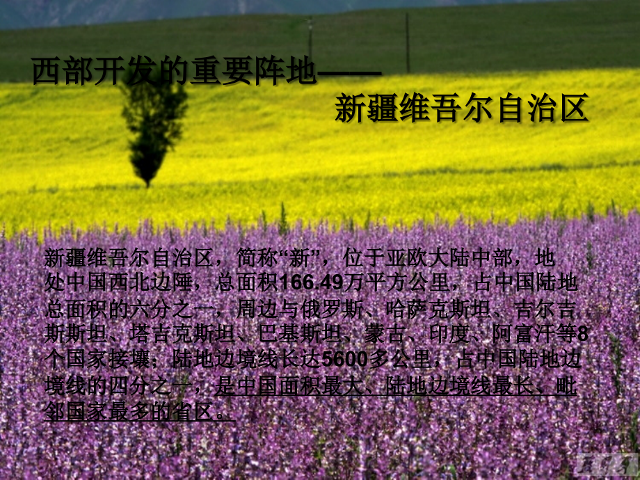 新疆地理课件.ppt_第1页
