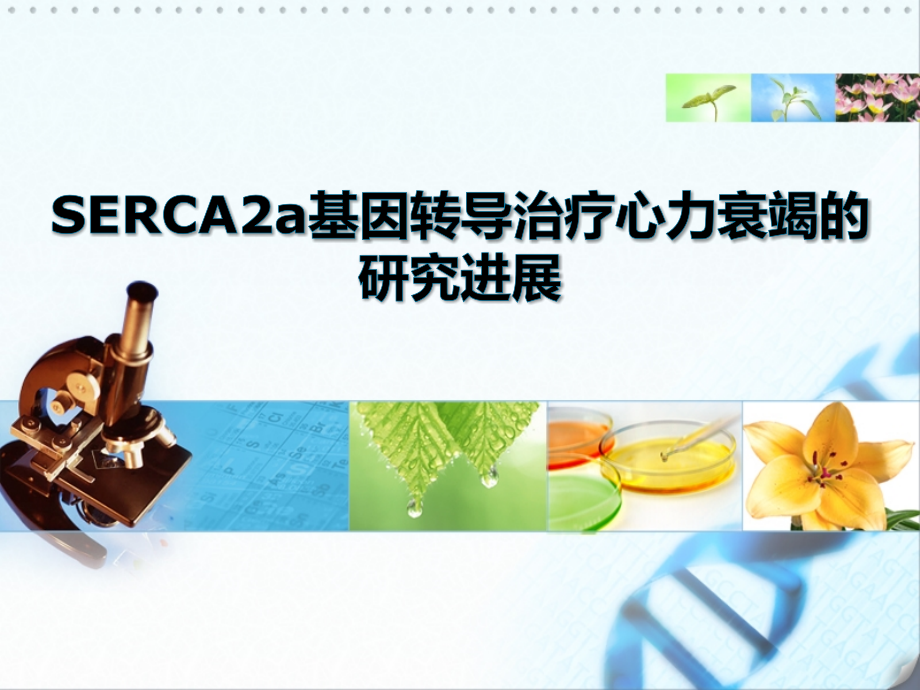 SERCA2a基因转导治疗心力衰竭的研究进展-PPT.ppt_第1页