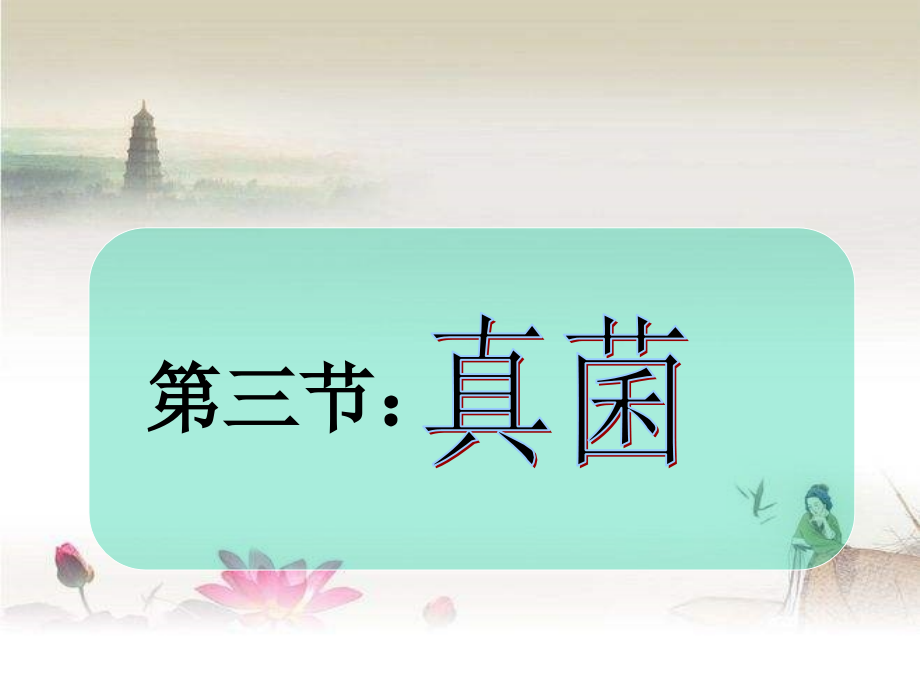 人教版八年级上生物真菌-PPT.ppt_第2页