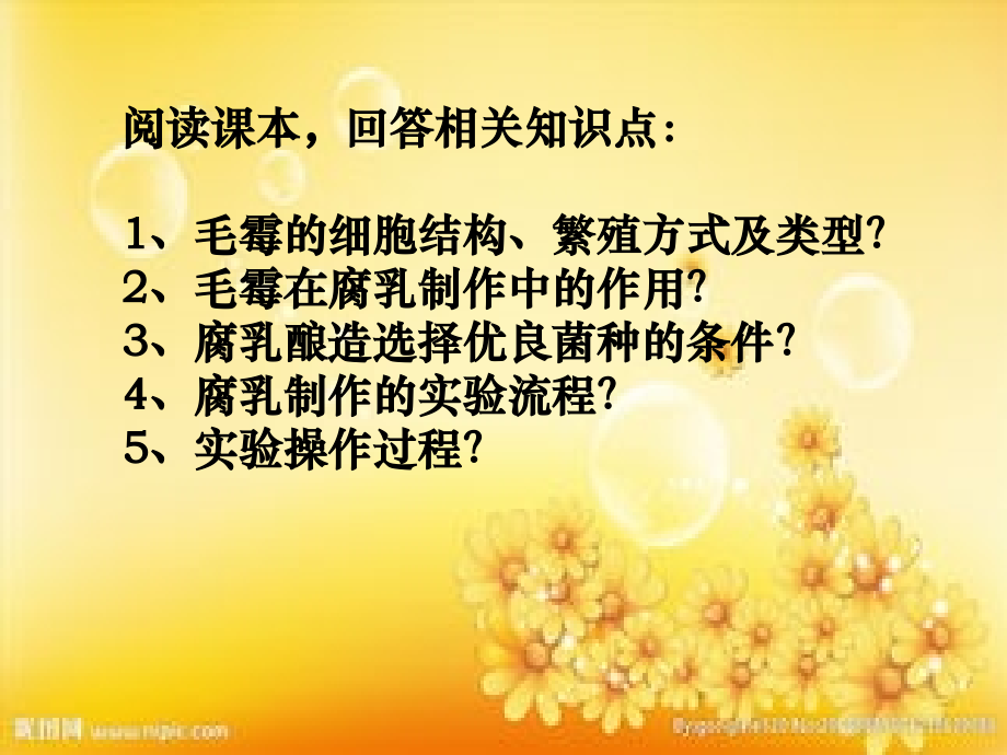 高中生物选修一--腐乳的制作-课件(人教版).ppt_第2页