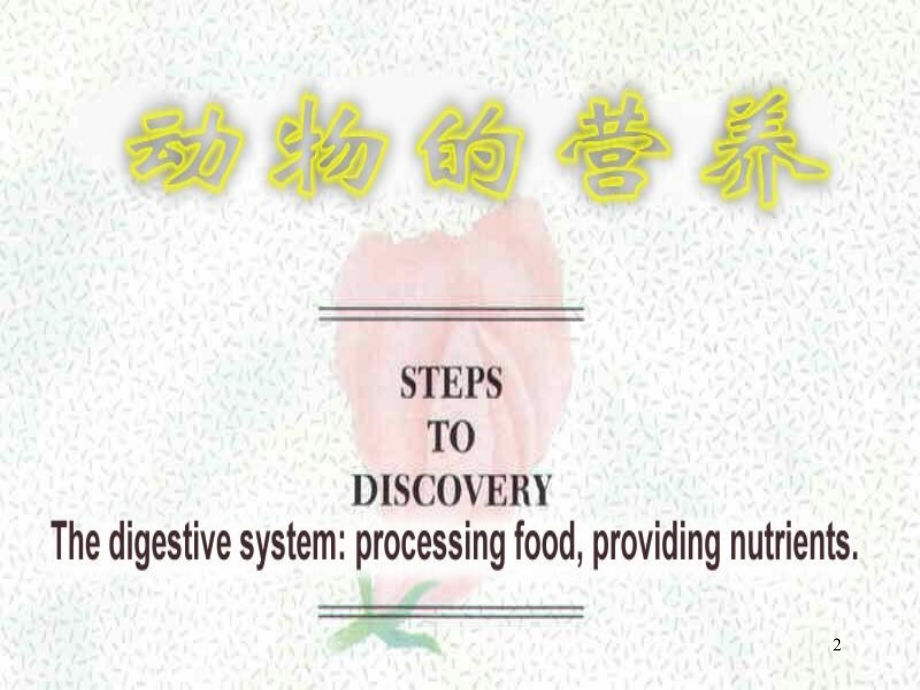 动物的营养.ppt_第2页