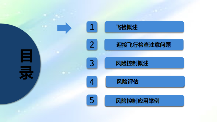 飞检与风险控制.ppt_第2页