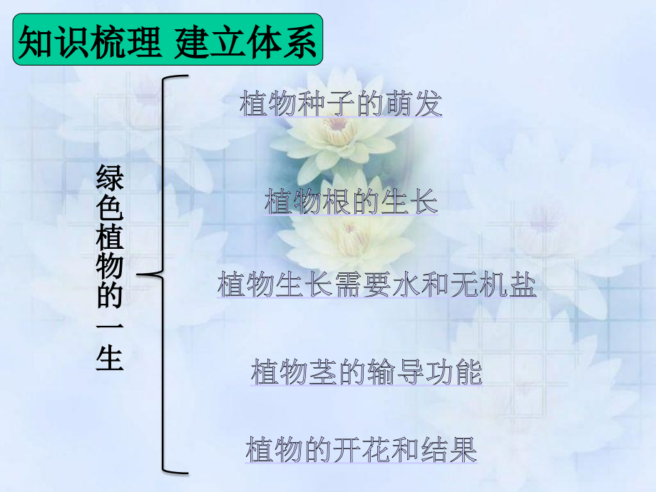 苏教版七年级上册生物第五章绿色植物的一生复习课件.ppt_第2页