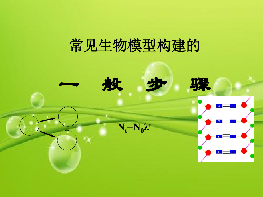 常见生物模型构建的一般步骤-PPT.ppt_第2页