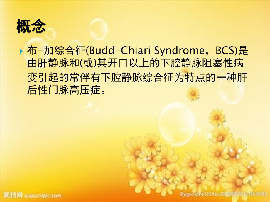 布加氏综合征.ppt_第2页