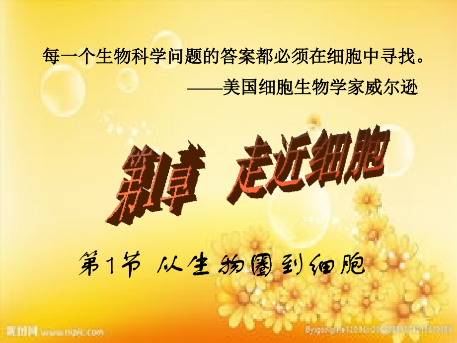 高一生物必修一第一章第一节.ppt_第1页