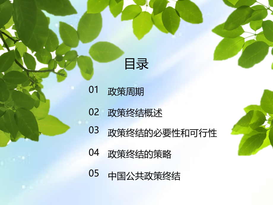 第九章-公共政策终结.ppt_第2页